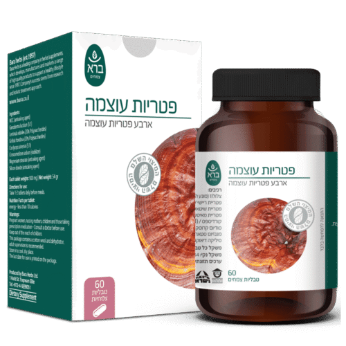 Power Mushrooms | פטריות עוצמה
