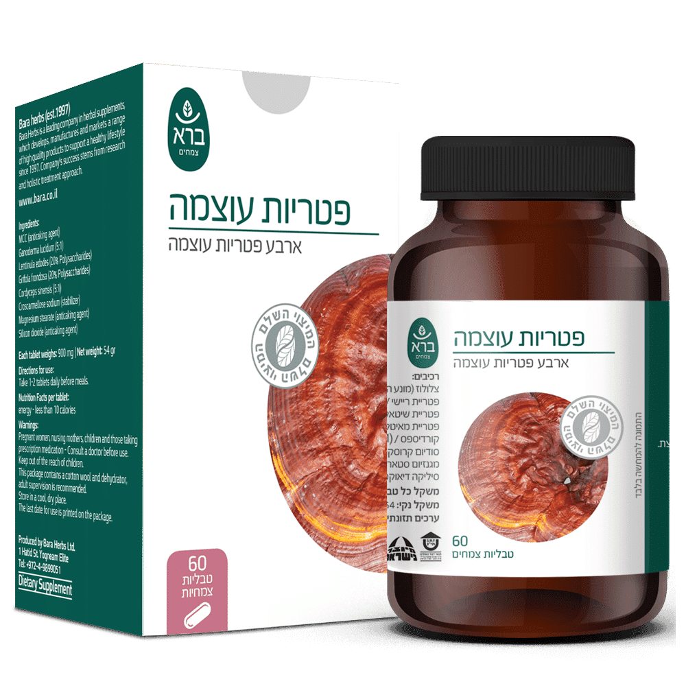 Power Mushrooms | פטריות עוצמה