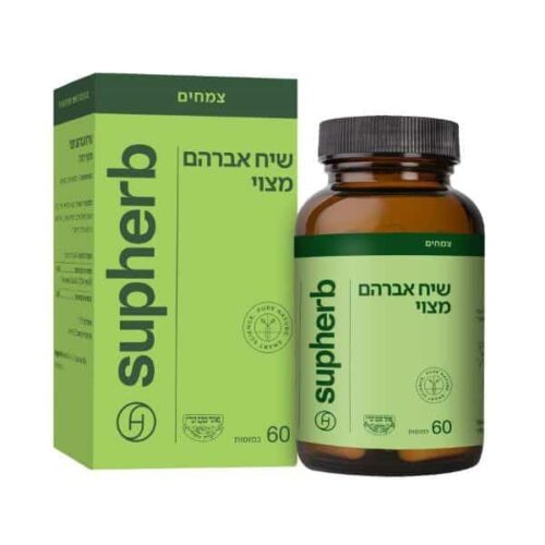 שיח אברהם מצוי (אגנוס קאסטוס)  סופהרב SUPHERB