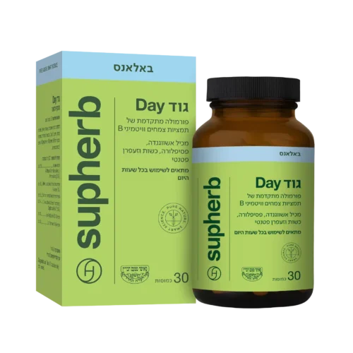 גוד DAY סופהרב