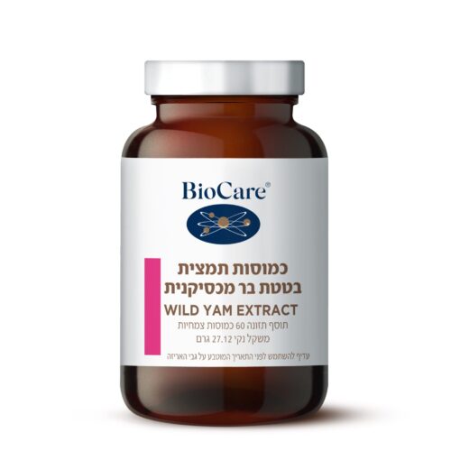 תמצית בטטת בר מכסיקנית