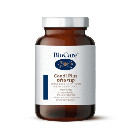 קנדי פלוס